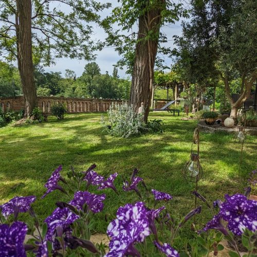 jardin